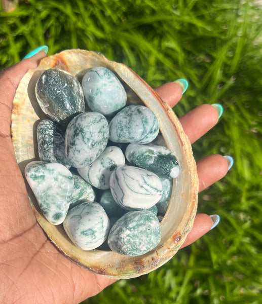 Tumble Tree Agate