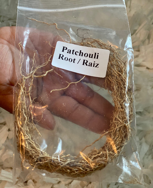 Patchouli Root