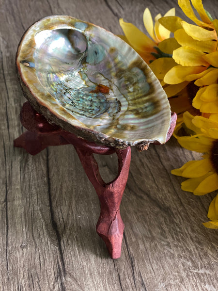 Abalone Shell w/ Tripod Stand (Large)