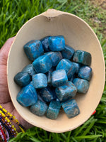 Blue Apatite Cubes