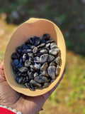 Indigo Gabbro