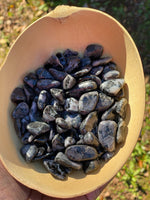 Indigo Gabbro