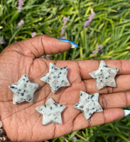 Kiwi Jasper Stars