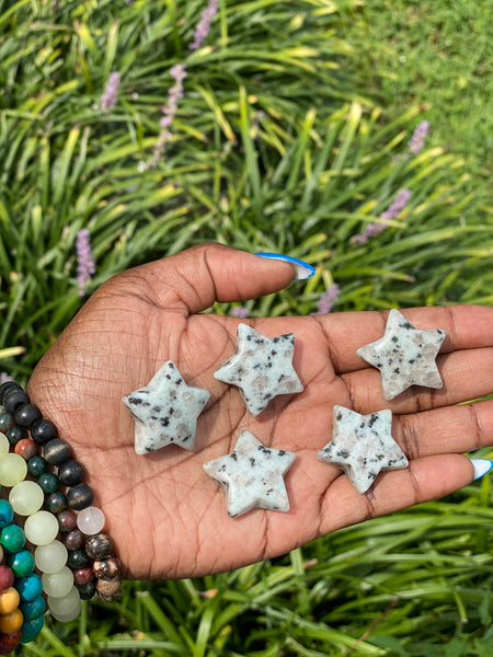 Kiwi Jasper Stars