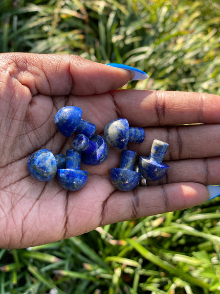 Lapis Lazuli Mushroom