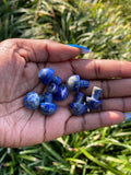 Lapis Lazuli Mushroom