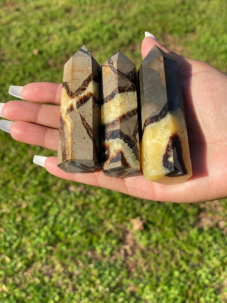 Septarian Points